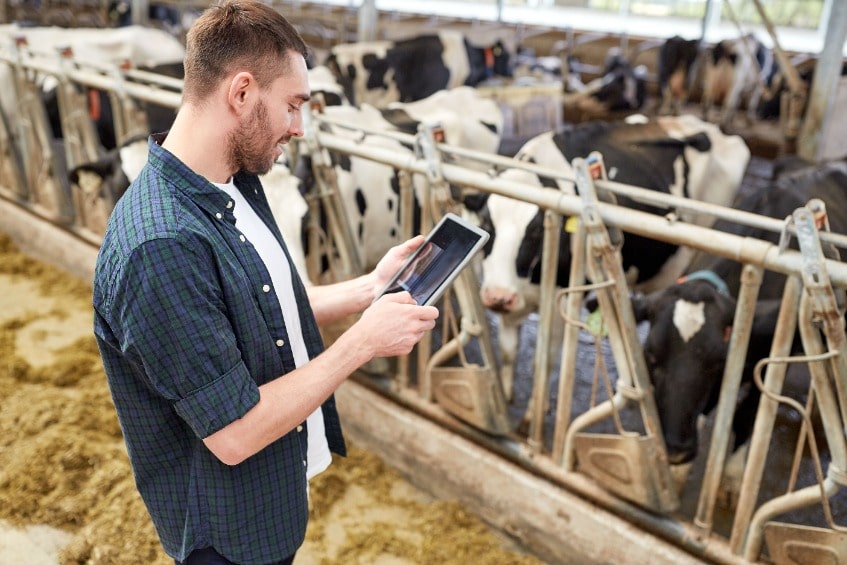 un hombre que está en una granja industrial con vacas, sostiene una tablet con un software de gestión industrial